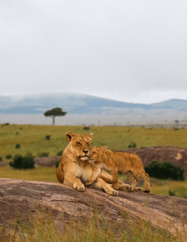 Kenya