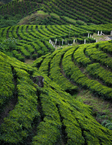 Kerala
